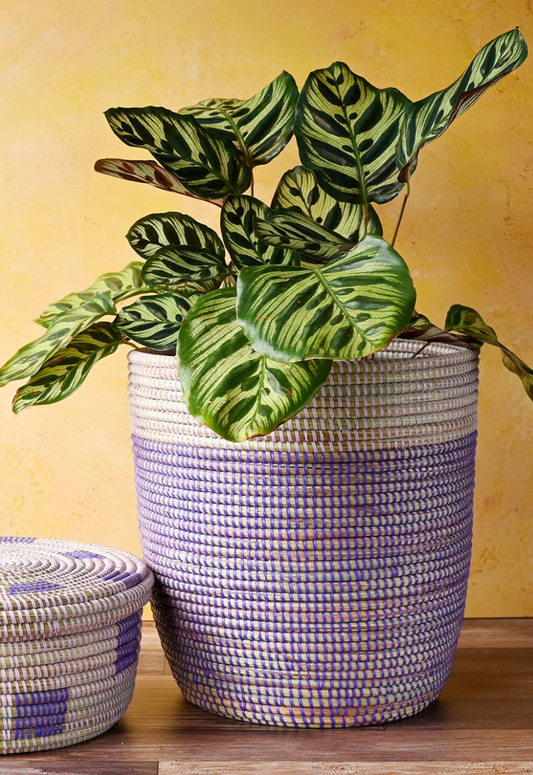 Purple Dipped Storage Basket from Senegal