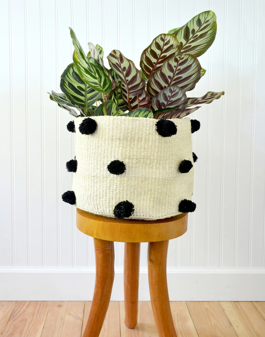 Natural Sisal Basket with Black PomPoms from Kenya