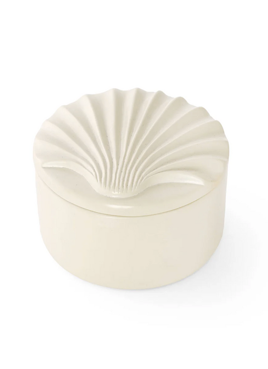 All Natural Soapstone Scallop Shell Storage Box from Kenya