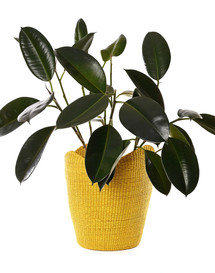 Yellow Elephant Grass Tulip Basket from Ghana